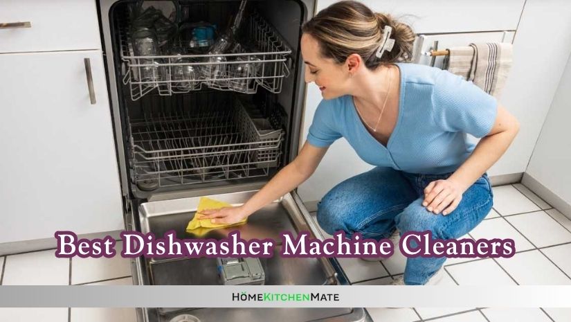 best dishwasher machine cleaners