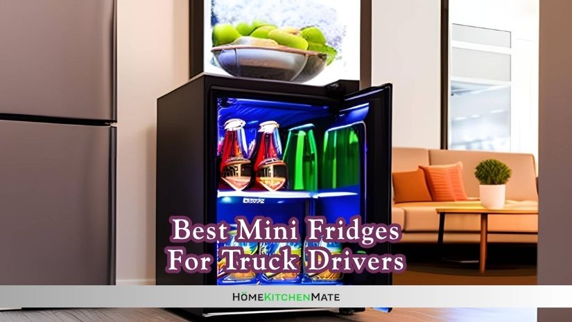 best mini fridges for truck drivers