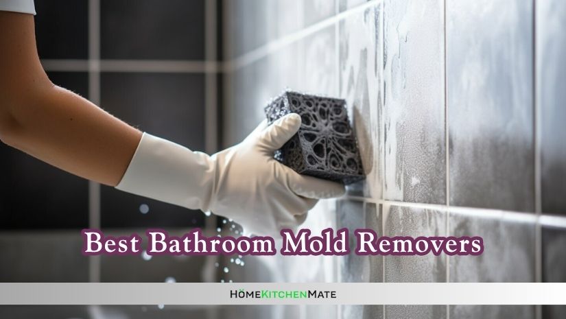 best bathroom mold removers