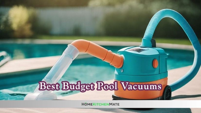 best budget pool vacuums