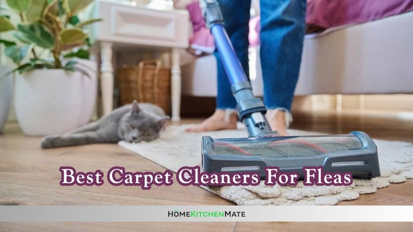 best carpet cleaners for fleas