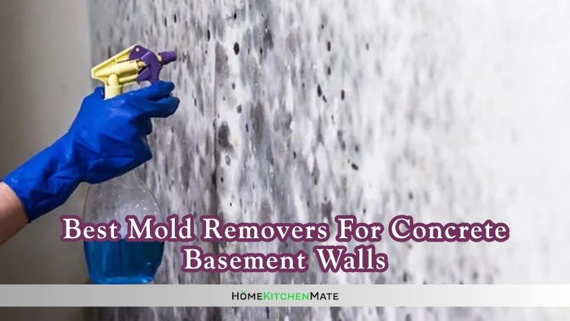 best mold removers for concrete basement walls