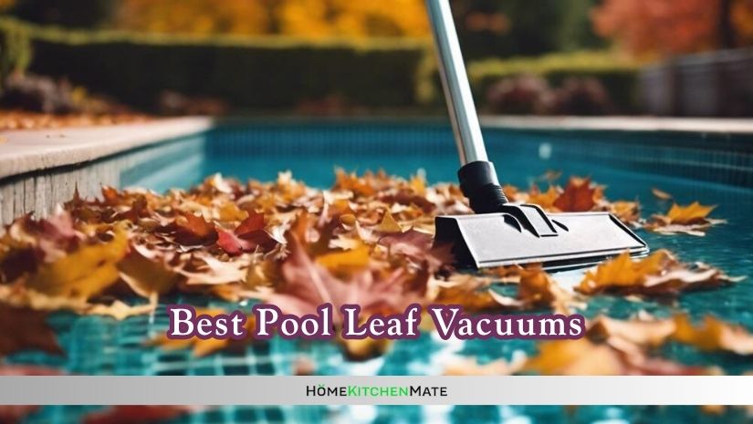 best pool leaf vacuums