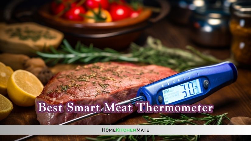 best smart meat thermometer