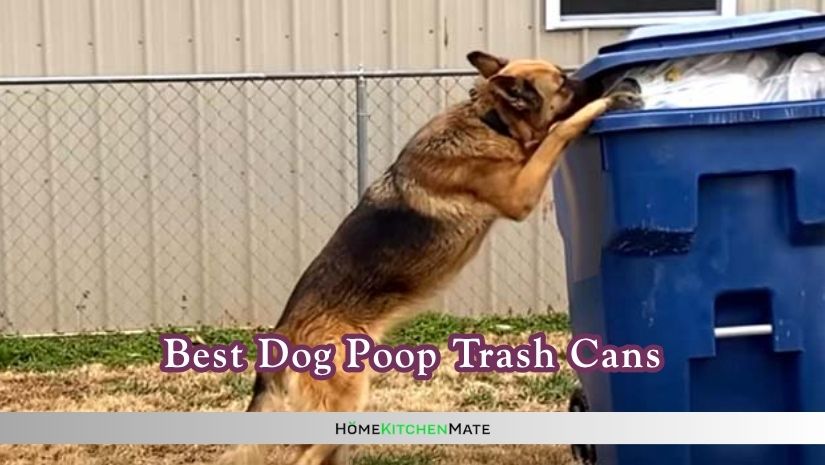 best dog poop trash cans