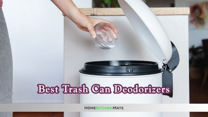 best trash can deodorizers