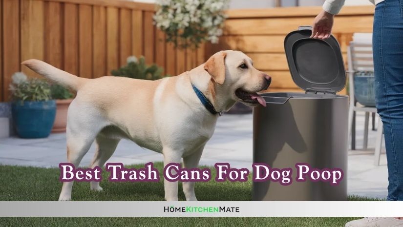 best trash cans for dog poop
