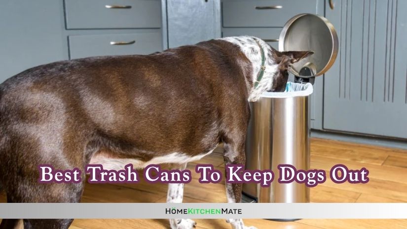 best trash cans to keep dogs out